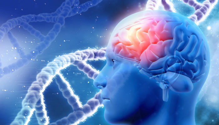 Brain Cancer Treatment