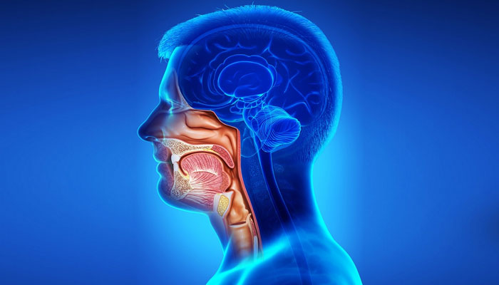 Head & Neck Cancer Treatment