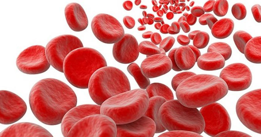 Autologous Stem Cell Transplantation